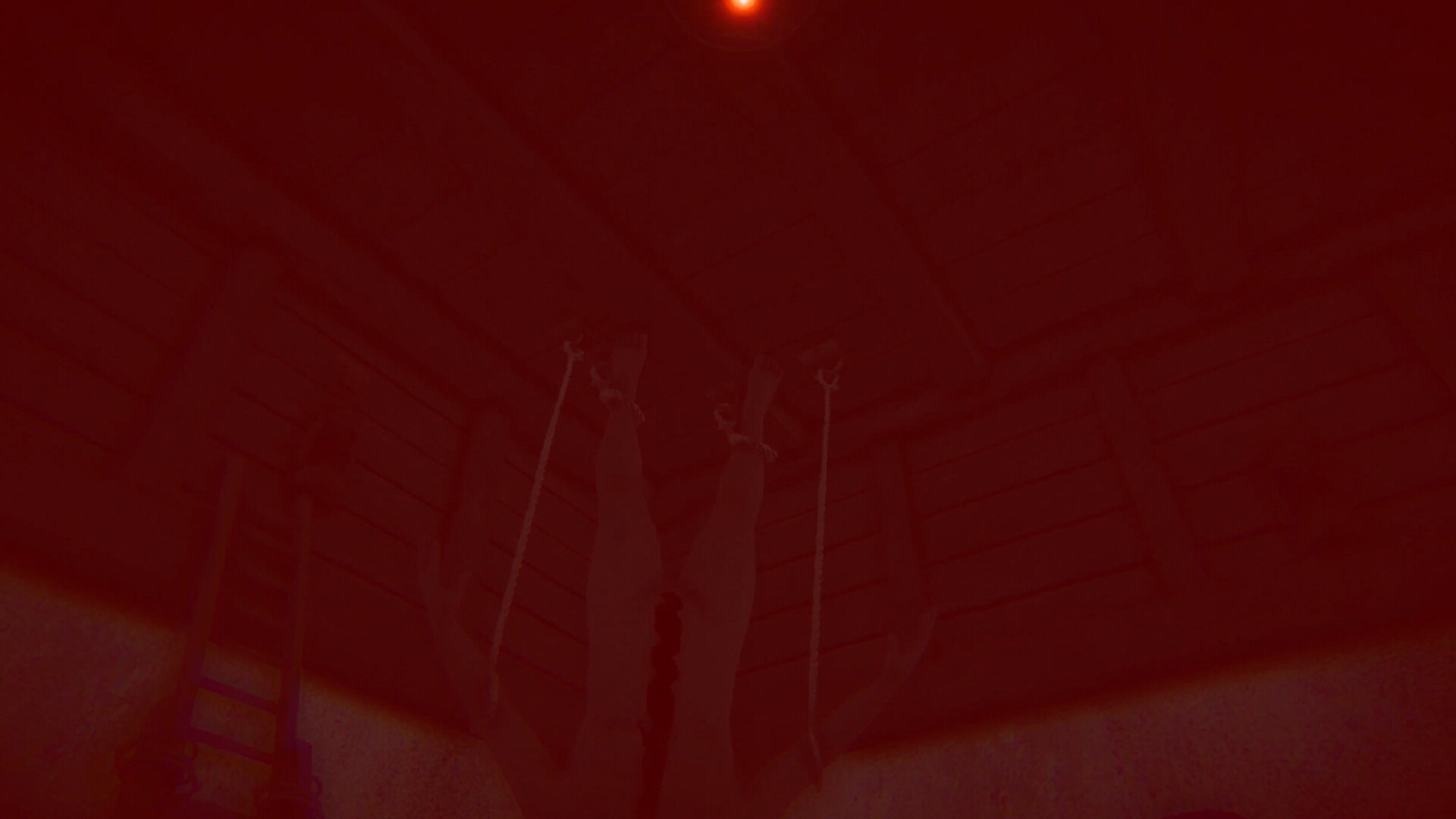 Cryptic Valley screenshot #14