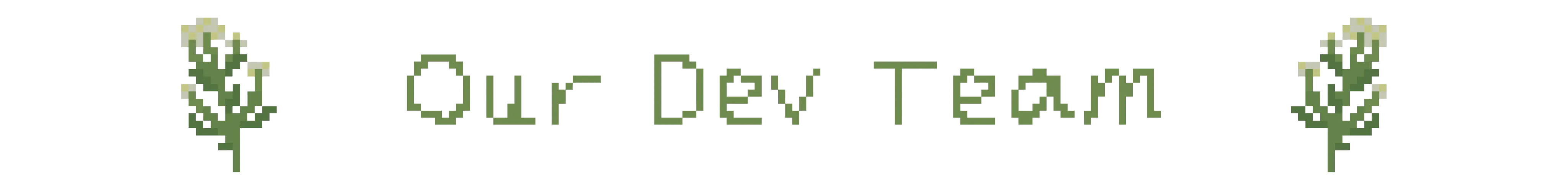 Title: Our dev team