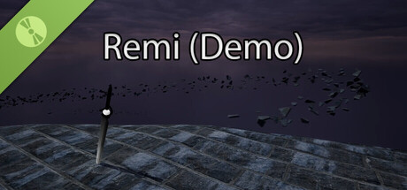 Remi Demo