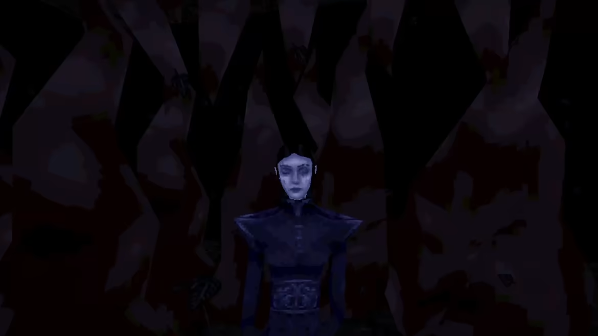 Nocturnal Watch video 3