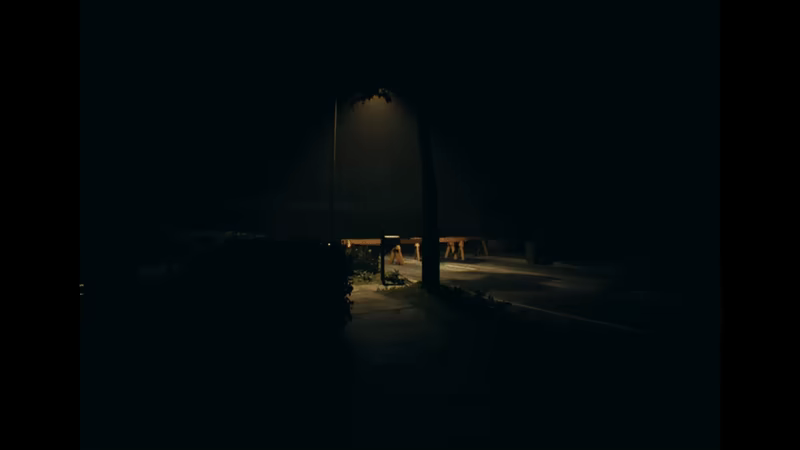Unseen video 1