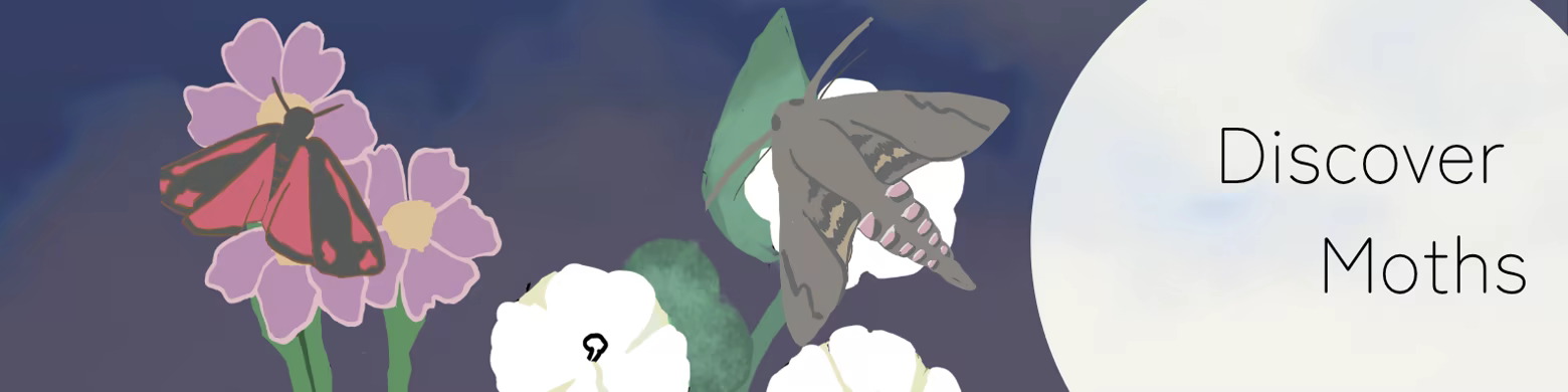 Moth Terra screenshot 2