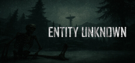 Entity Unknown Header Image