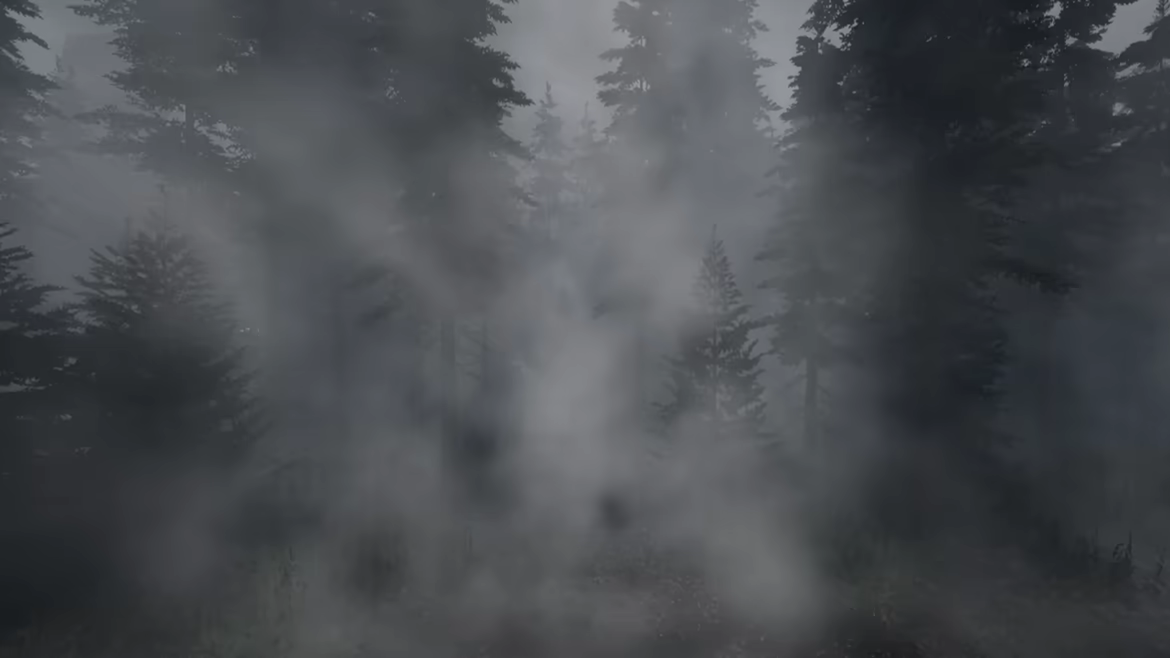Flesh Fossil video 2