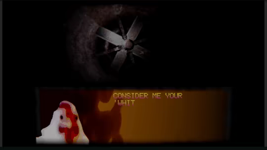 what did the chicken see video 1