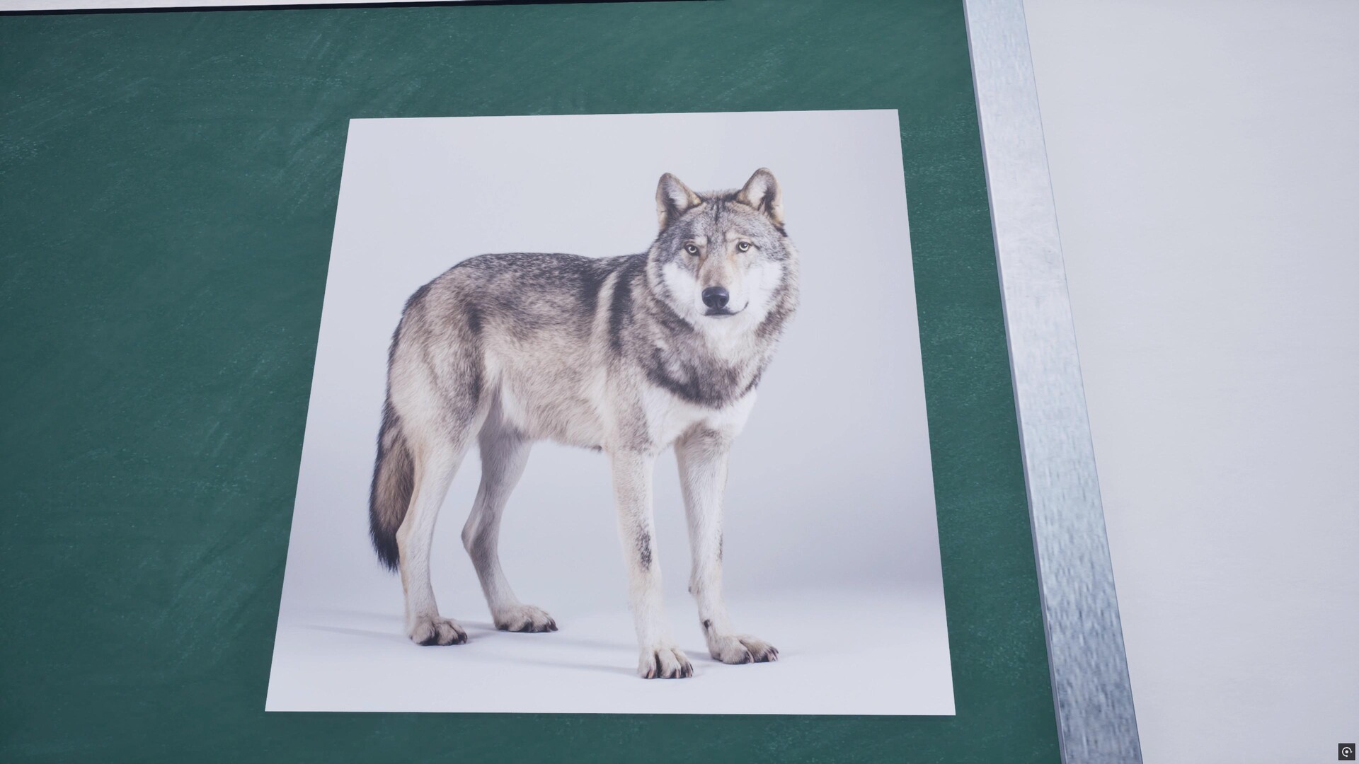 8th period: Music screenshot #1