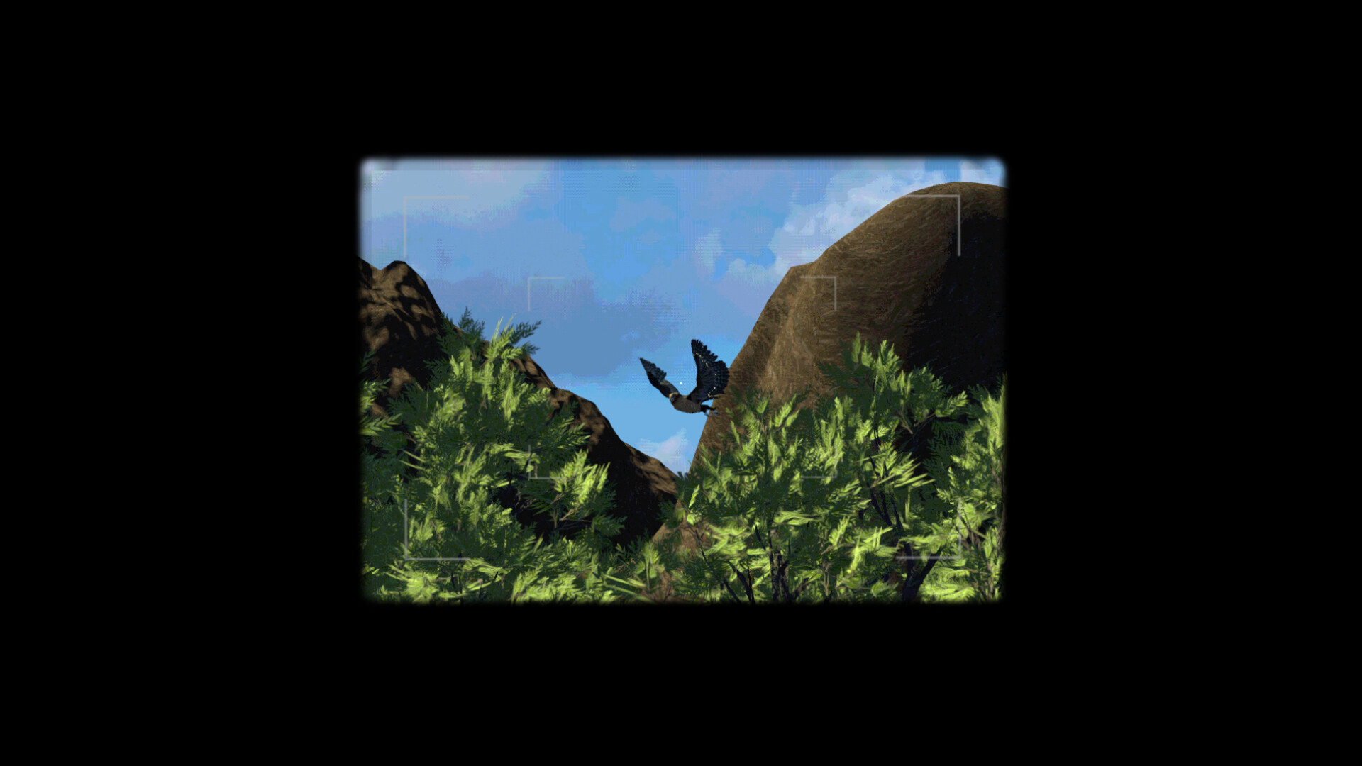 Birdwatching screenshot #5