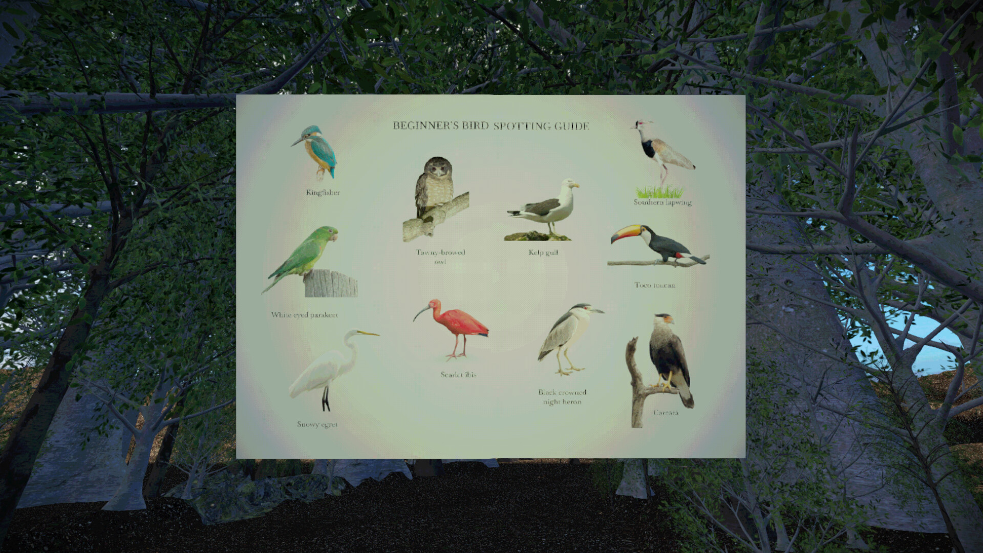 Birdwatching screenshot #2