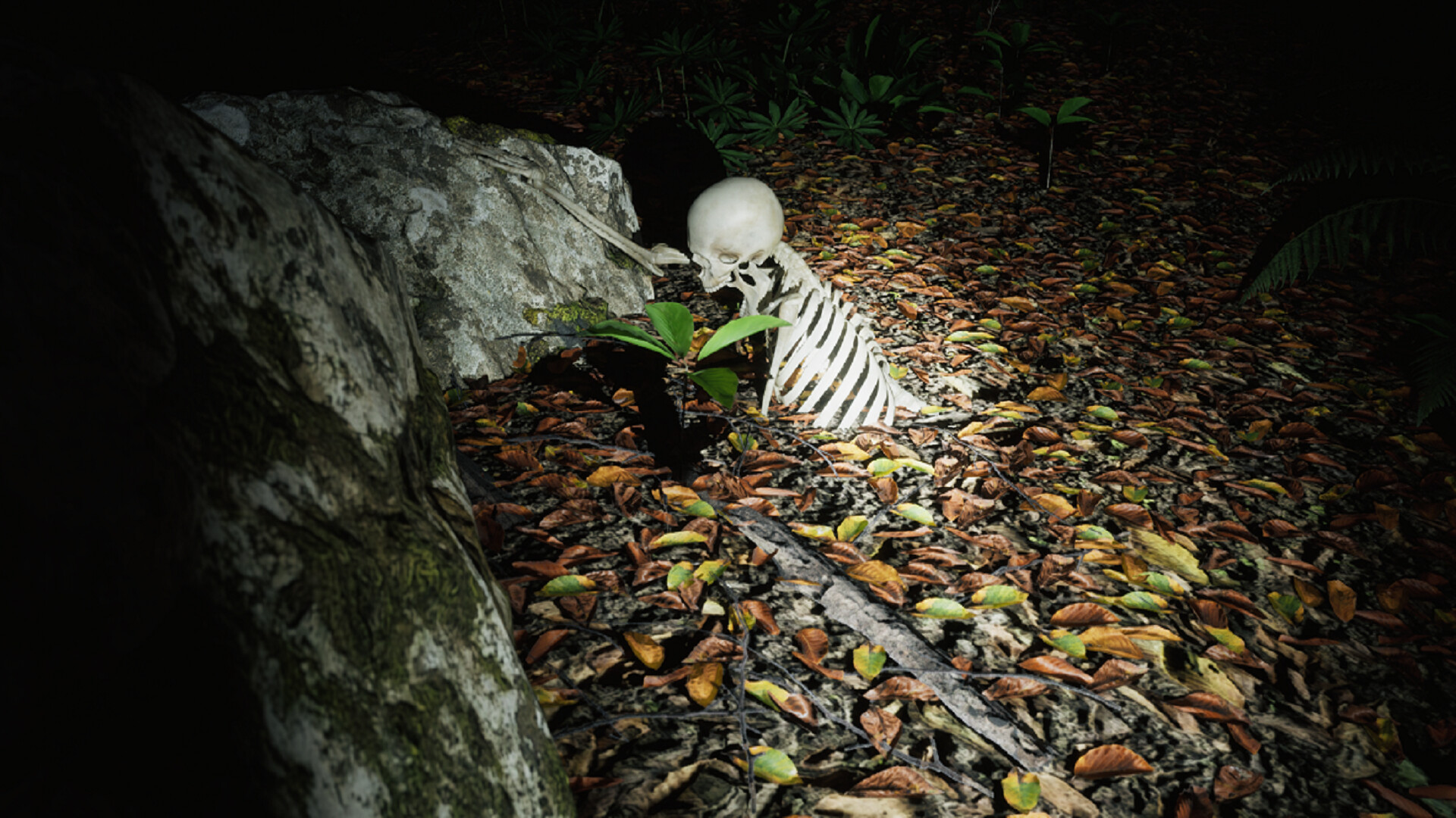 Skinwoods: The Full Cut screenshot #2