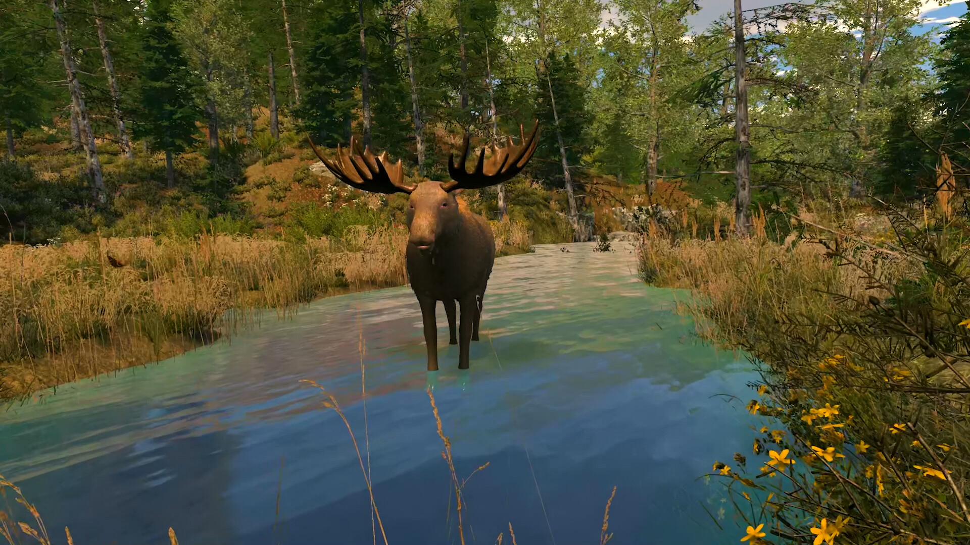 Capture The Wild screenshot #9