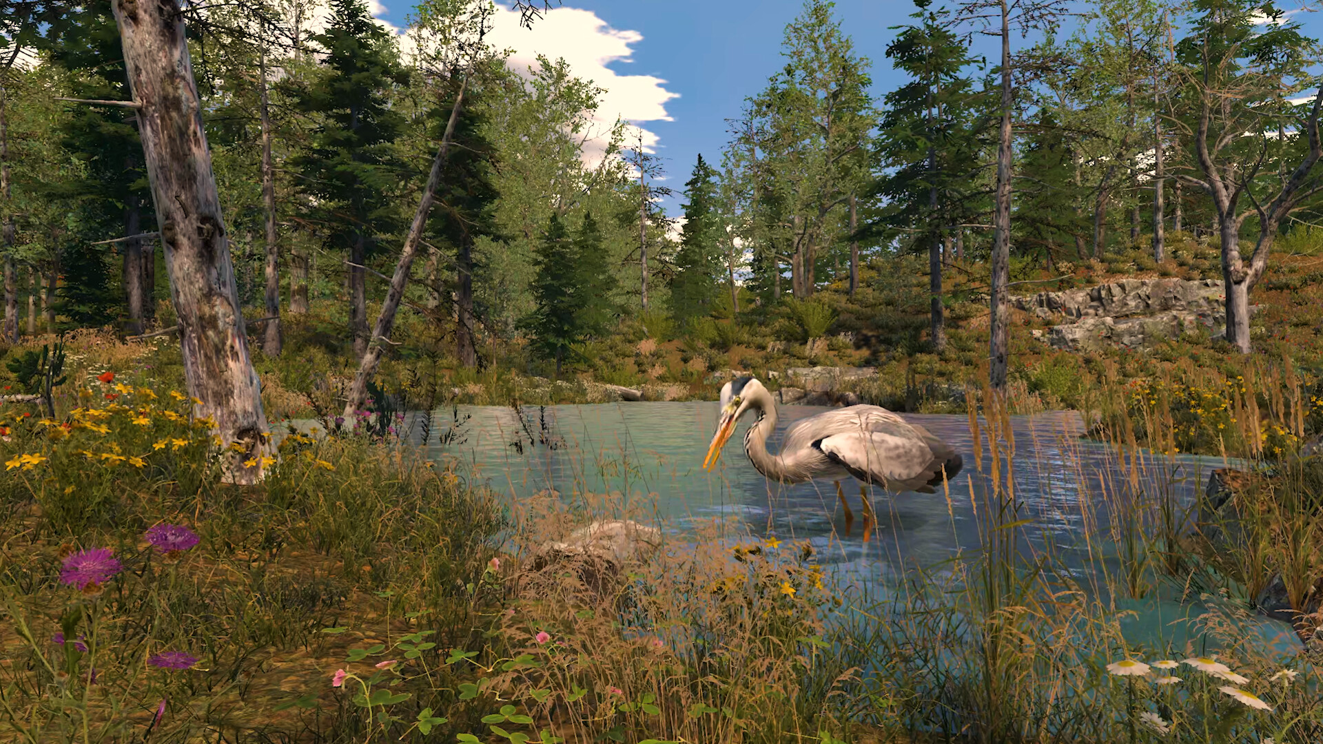 Capture The Wild screenshot #7