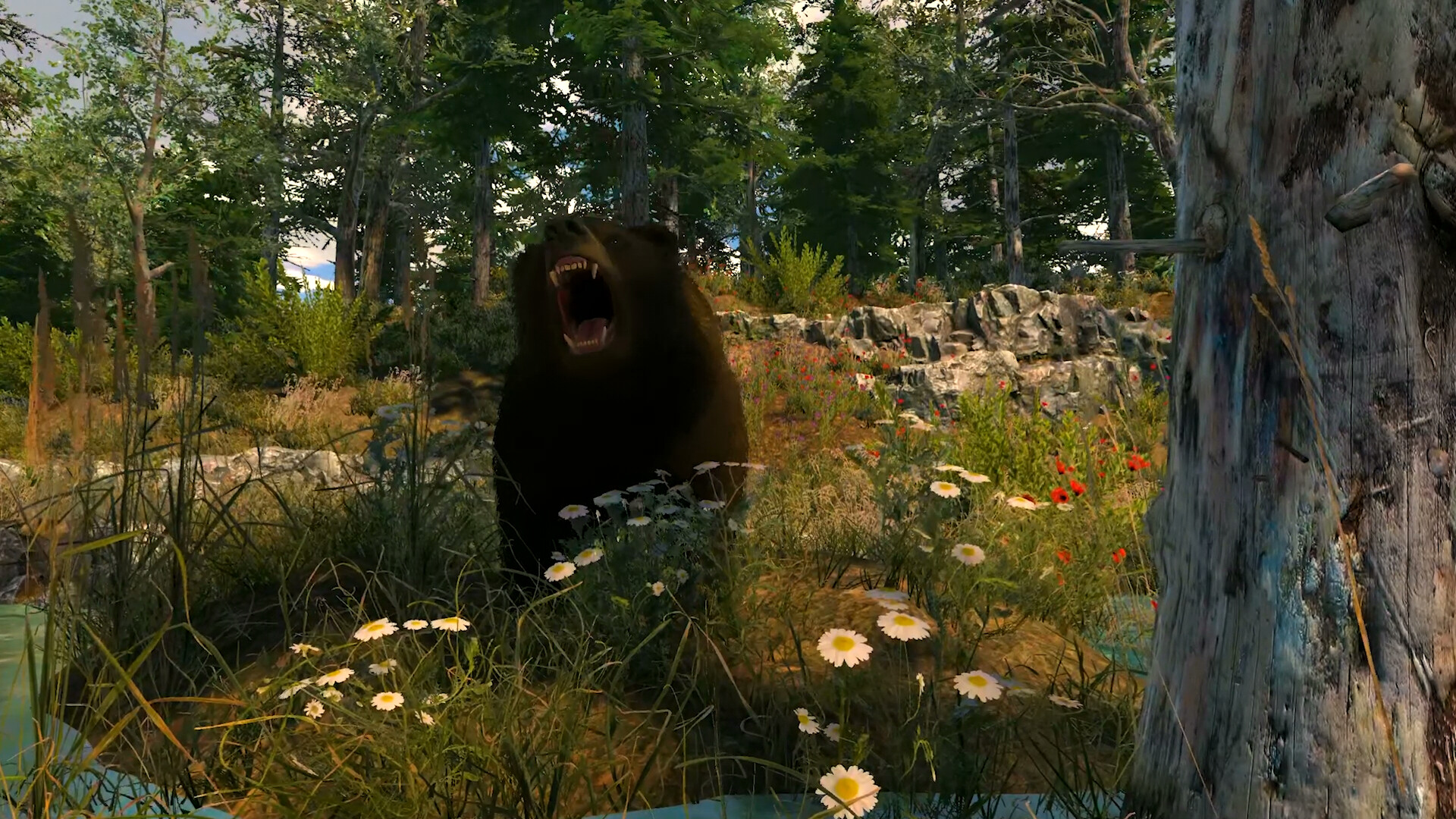Capture The Wild screenshot #2