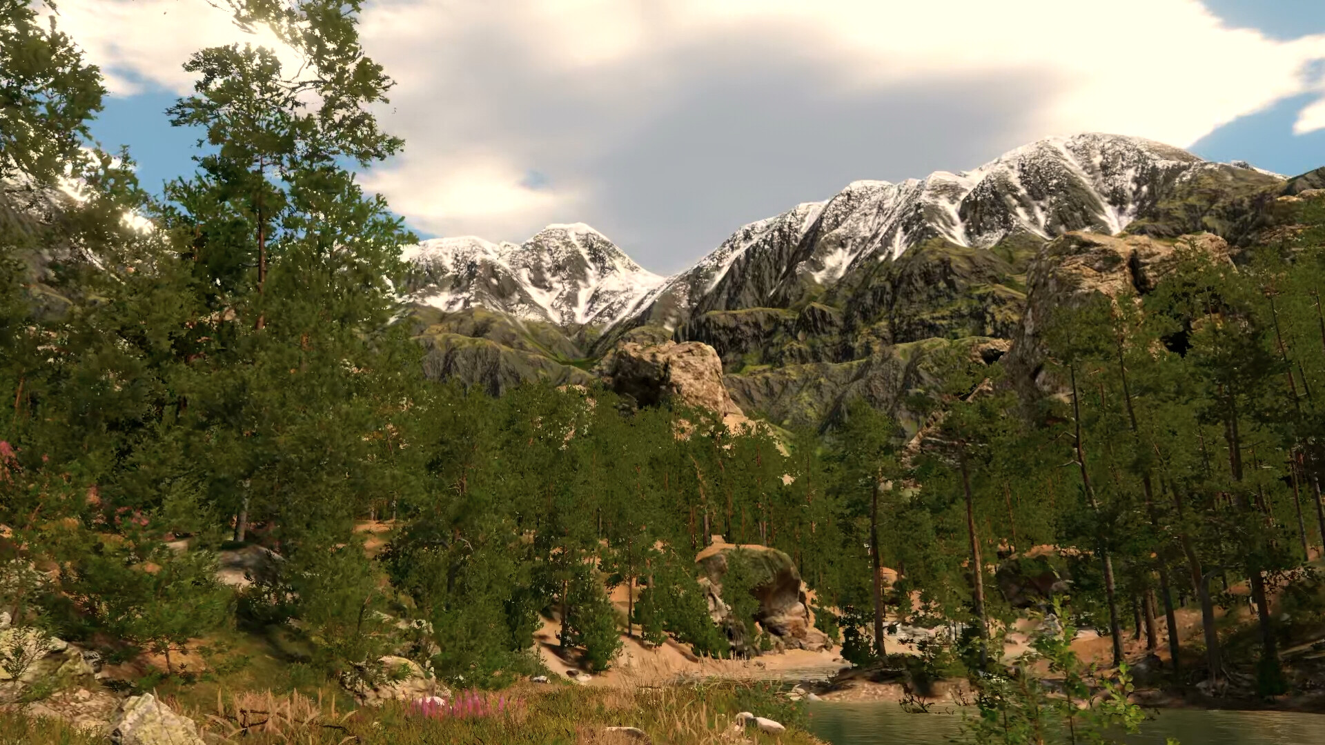 Capture The Wild screenshot #8