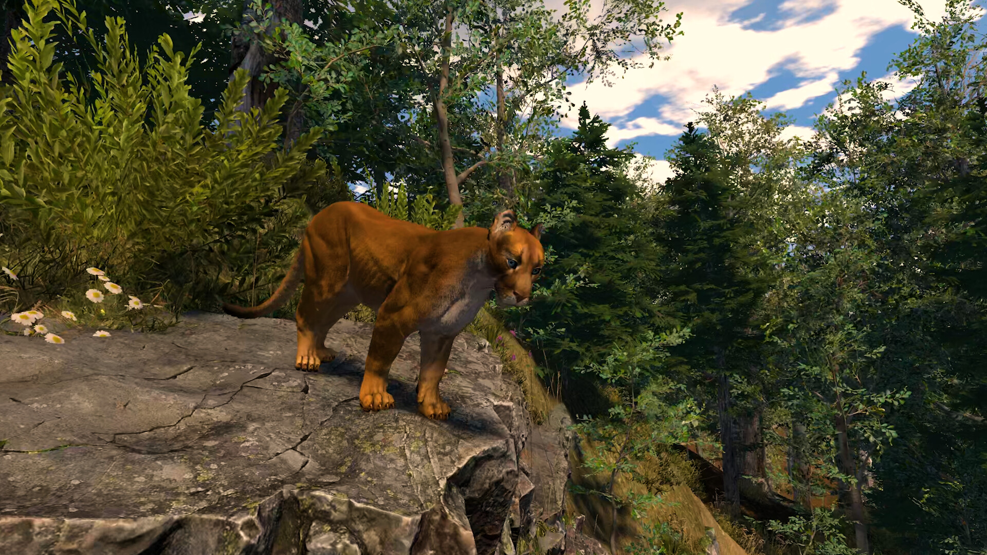 Capture The Wild screenshot #3