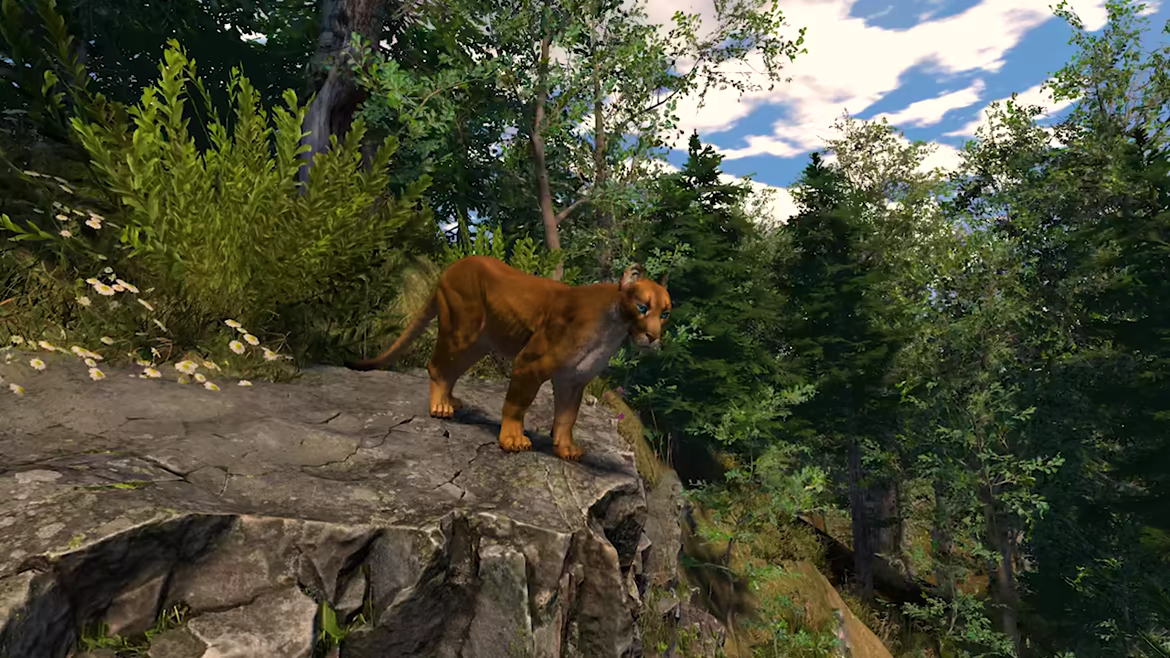 Capture The Wild video 2