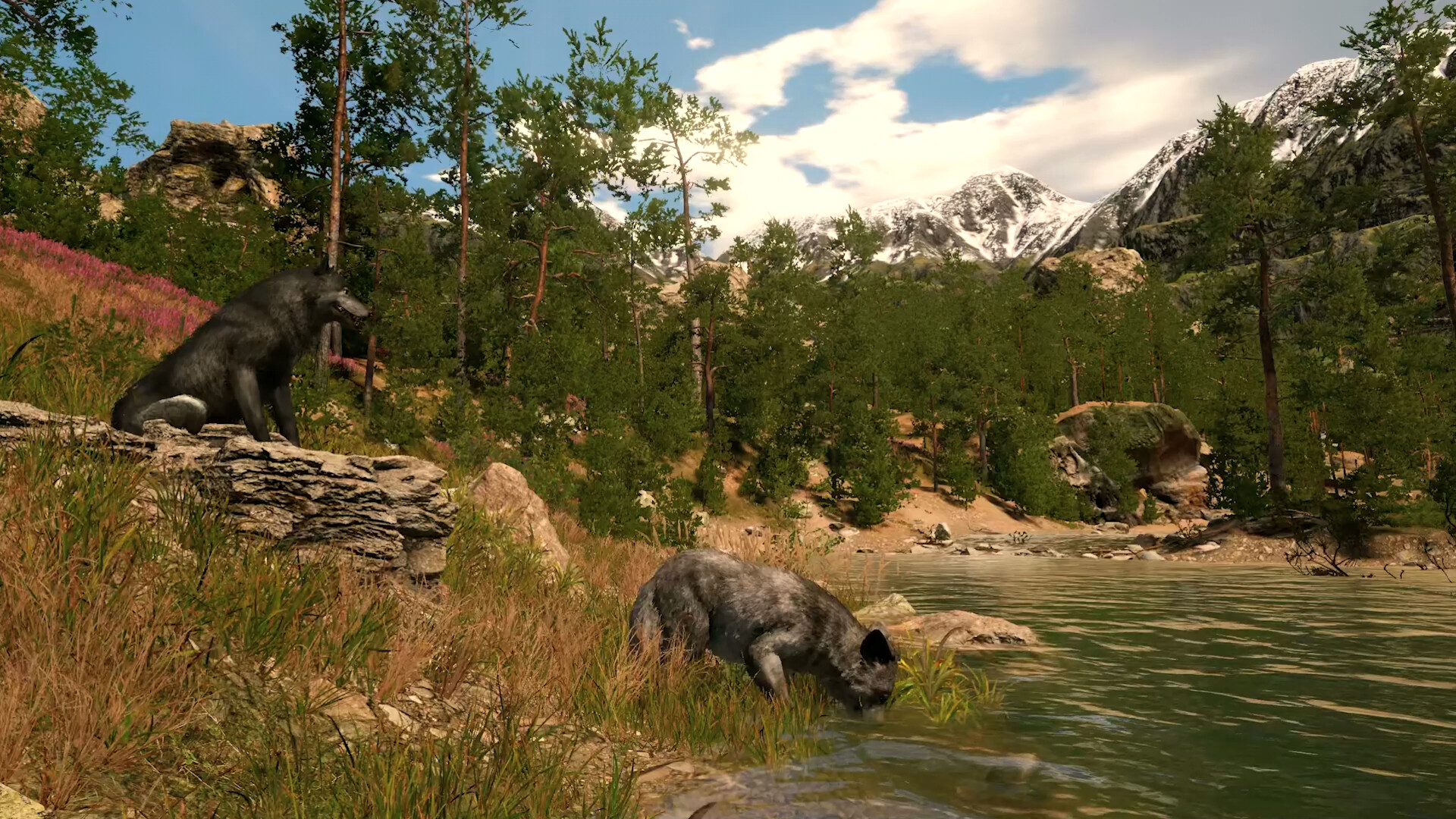Capture The Wild screenshot #1