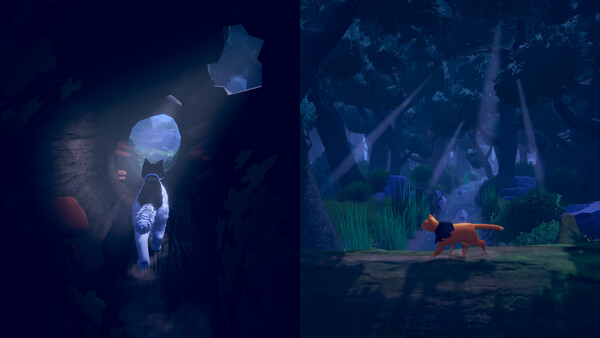 The Missing Tail