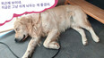 3번 스크린샷