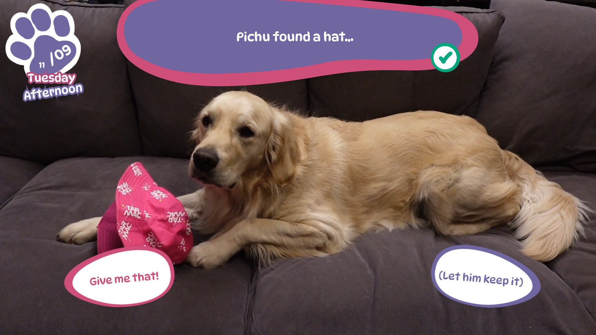 Golden Retriever Simple Life screenshot 8