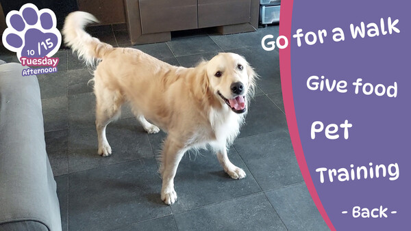 Screenshot of Golden Retriever Simple Life gameplay showing in-action mechanics