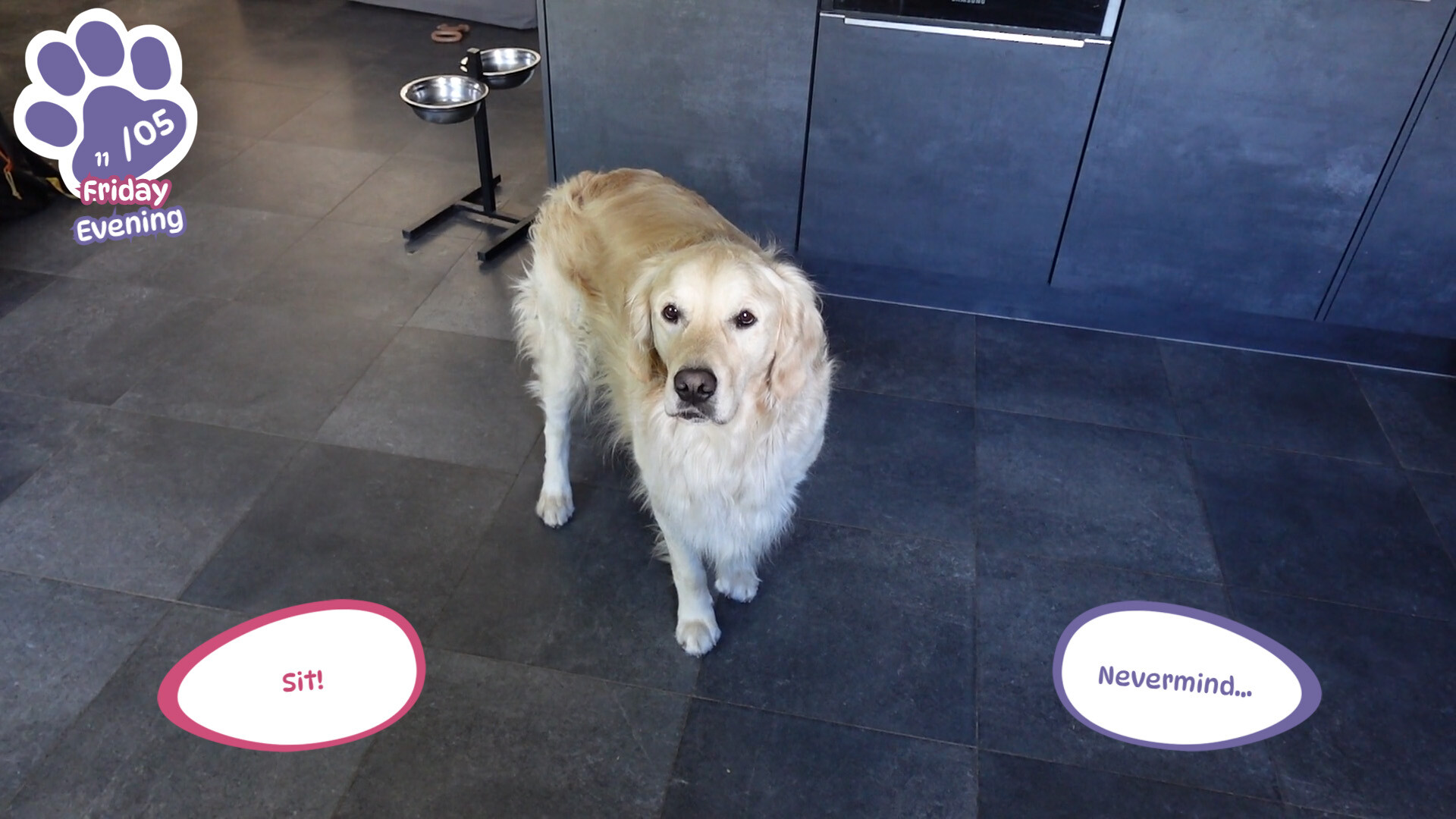 Golden Retriever Simple Life screenshot 5