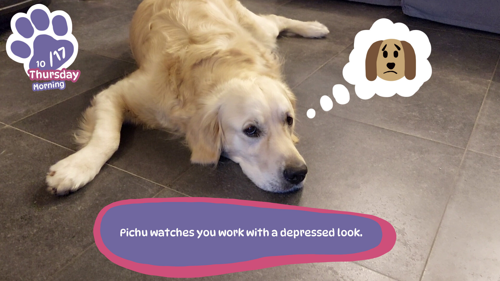 Golden Retriever Simple Life screenshot #4