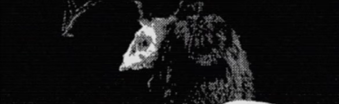 GESTALT: Memoria video 3