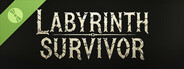 Labyrinth Survivor Demo