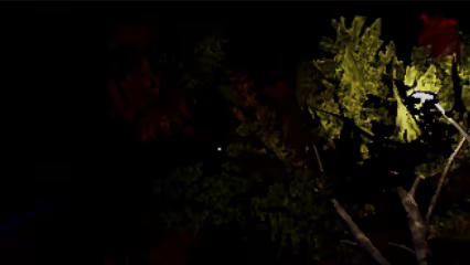 The House on the Hill video 4