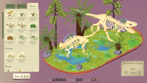 Fossil Quest