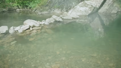 Island Way Too Nice video 1