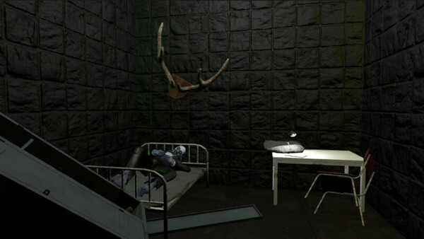 Twelve Mental Patients Demo