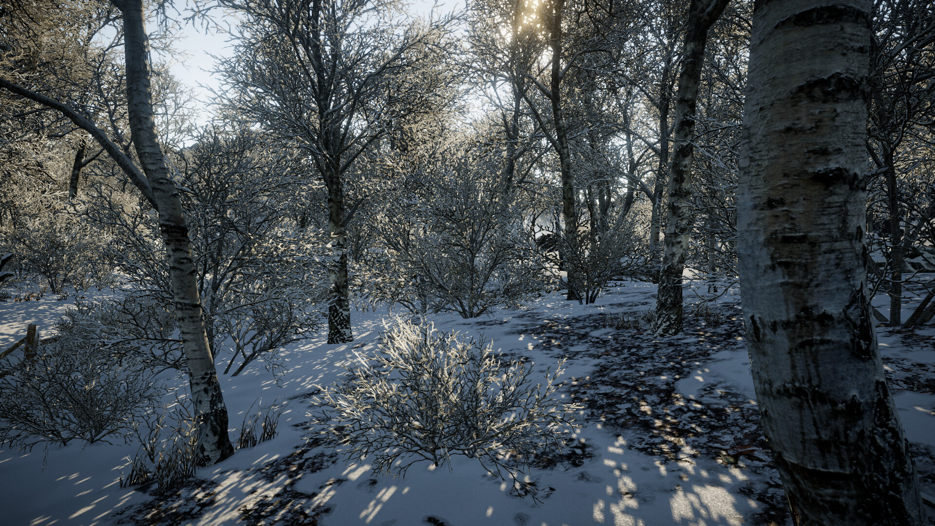 Tundra screenshot #3
