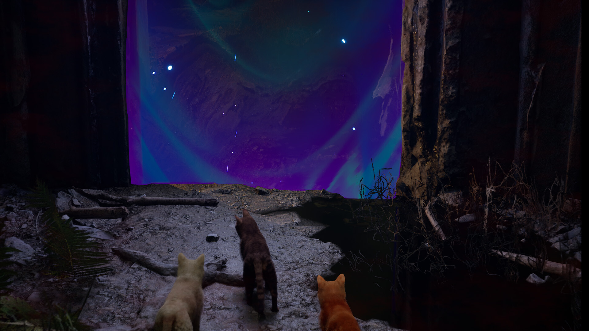 Meowmories screenshot #3