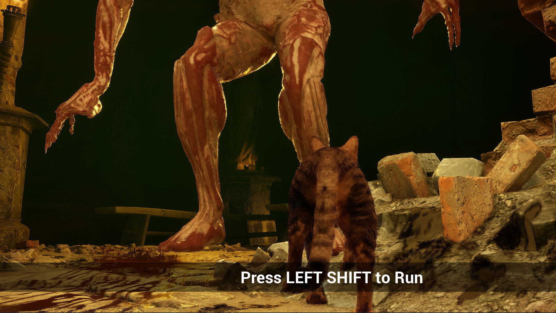 Meowmories screenshot #2