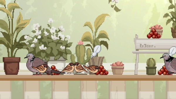 Birdwatching Notebook