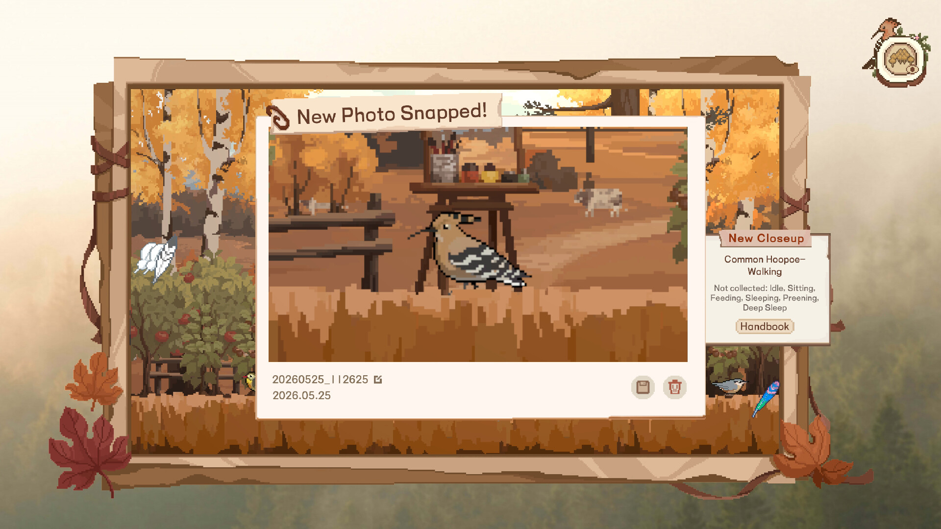 Birdwatching Notebook screenshot 6