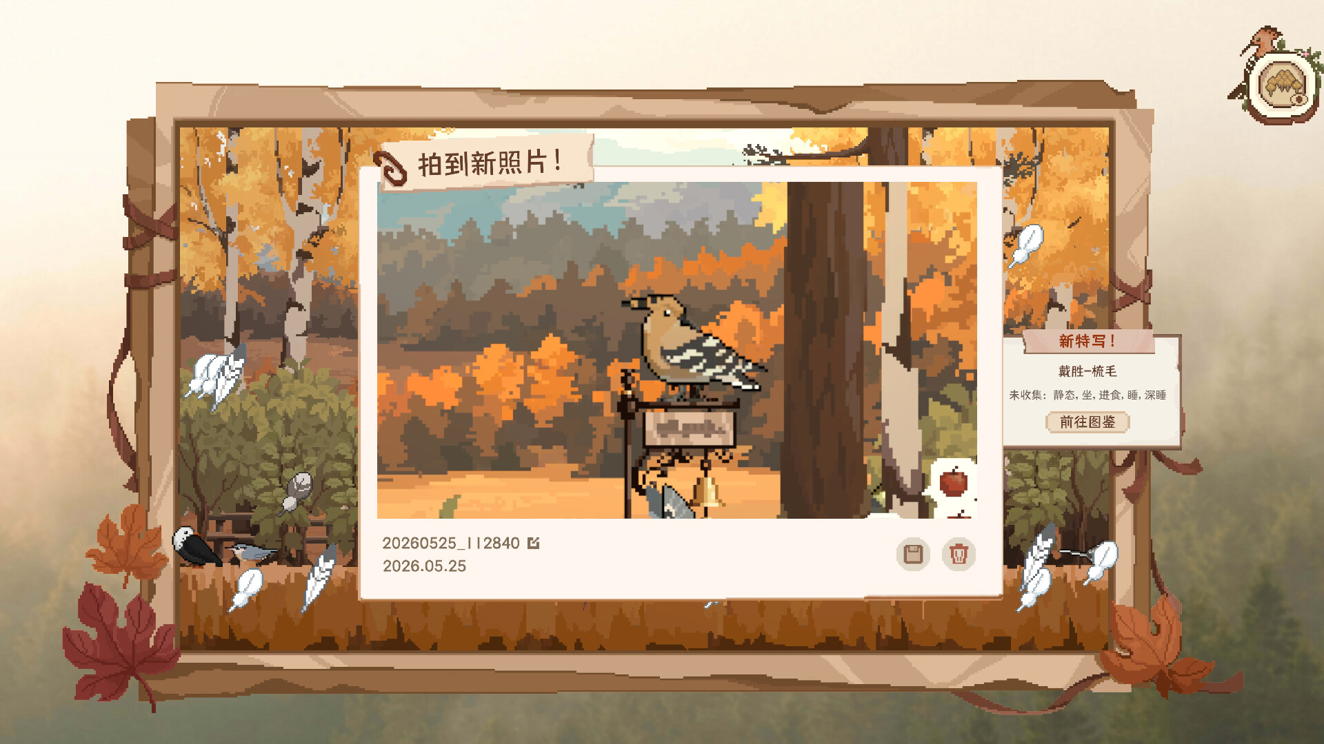 观鸟笔记 v1.5
