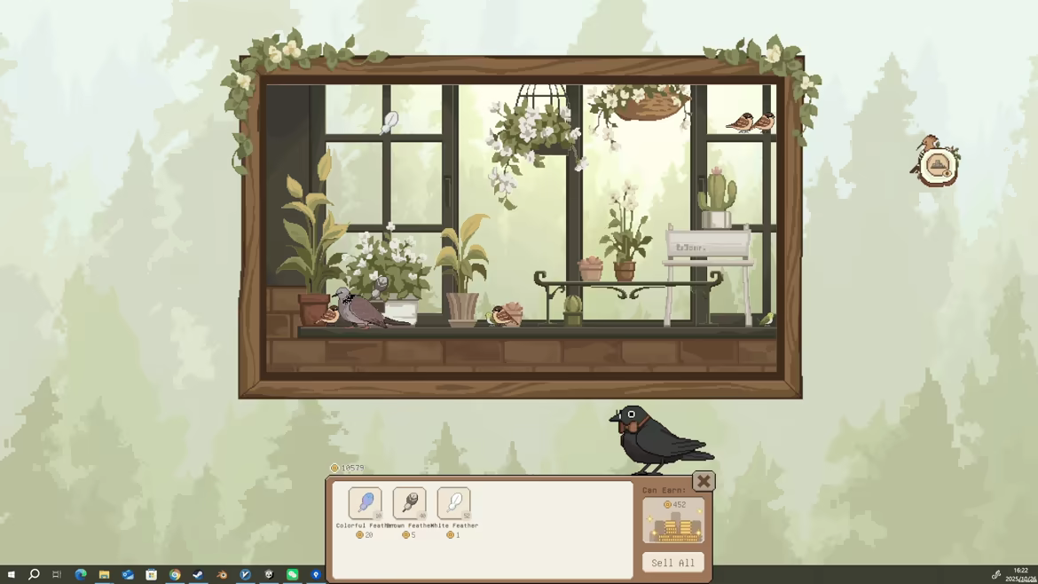 观鸟笔记 v1.5
