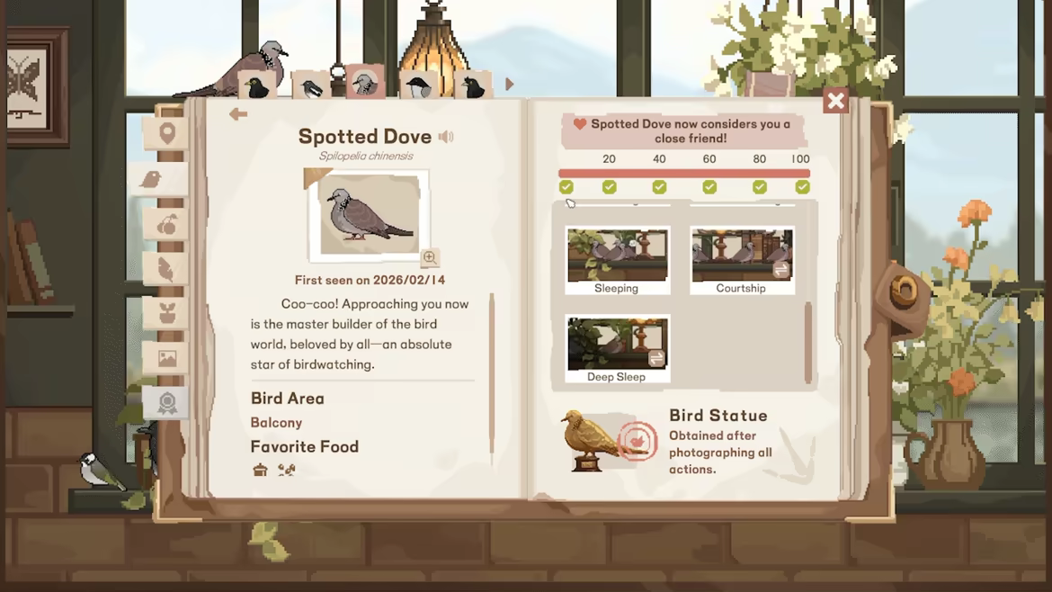 Birdwatching Notebook video 8