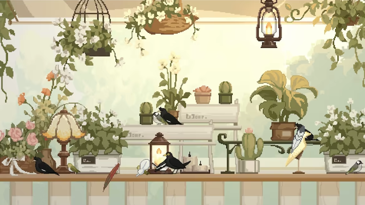 观鸟笔记 v1.5