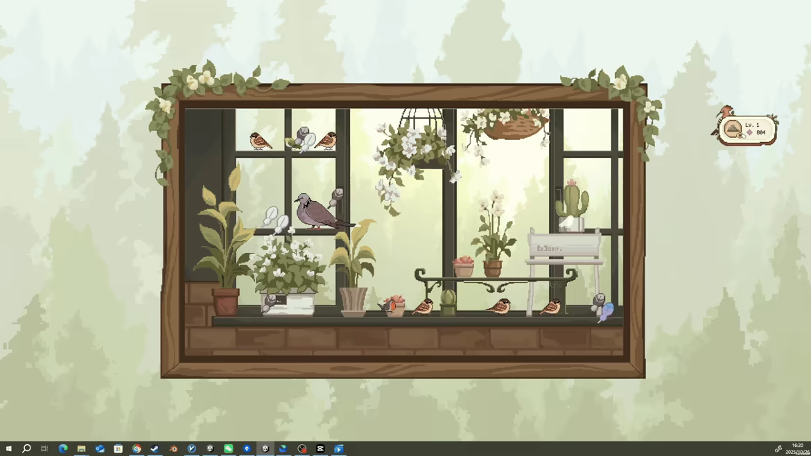 观鸟笔记 v1.5
