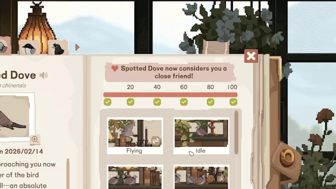 Birdwatching Notebook video 11