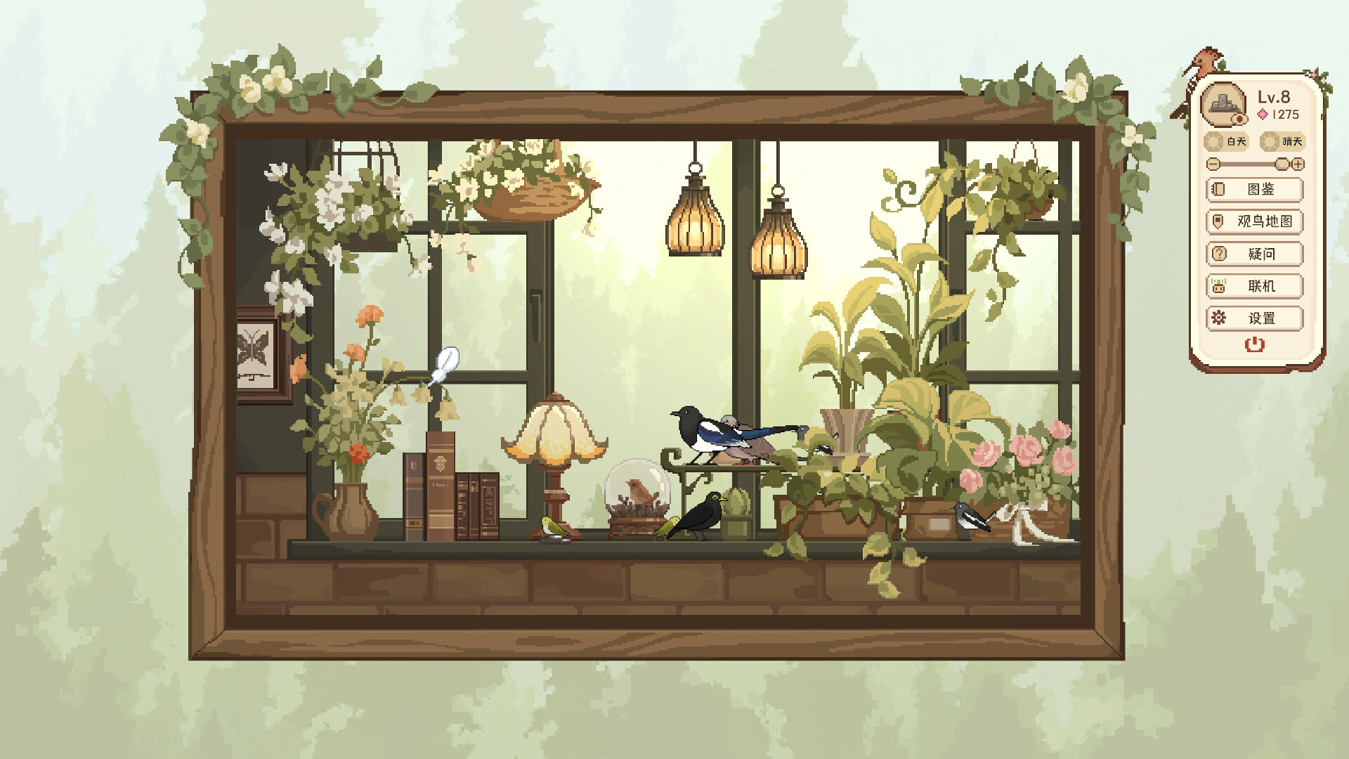 观鸟笔记/Birdwatching Notebook 截图