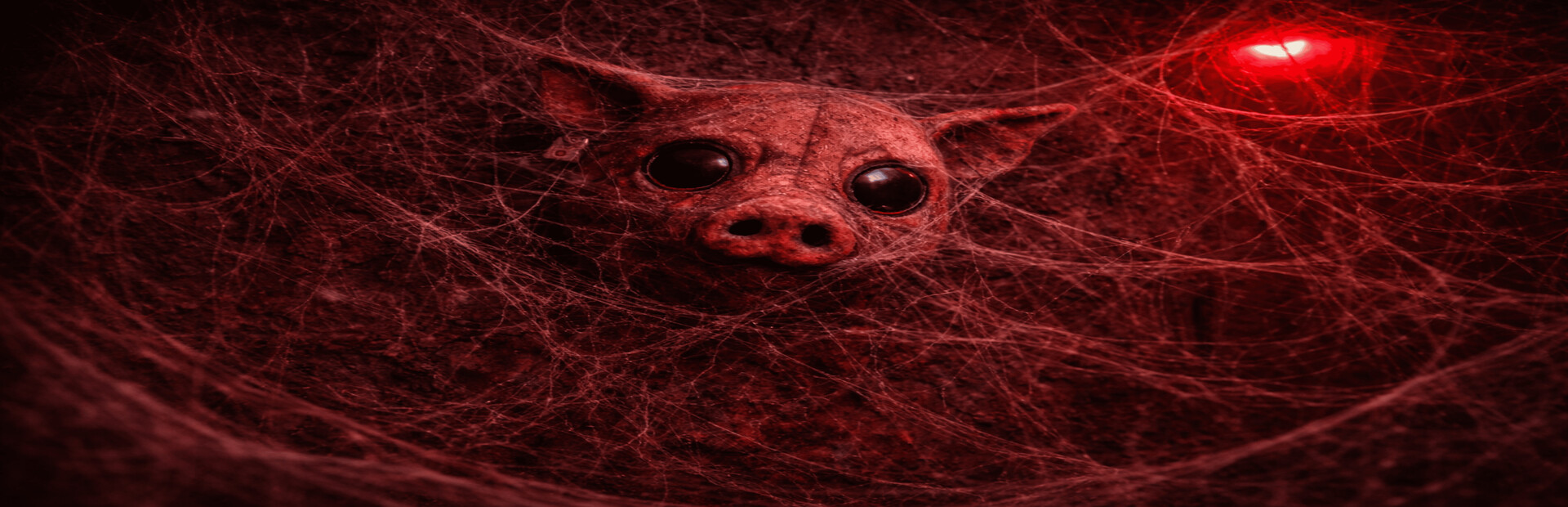 SCP The Beginning