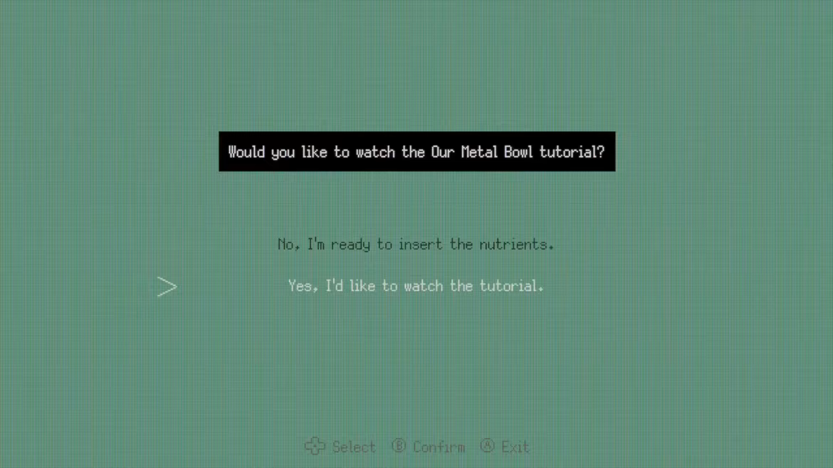 Our Metal Bowl video 4