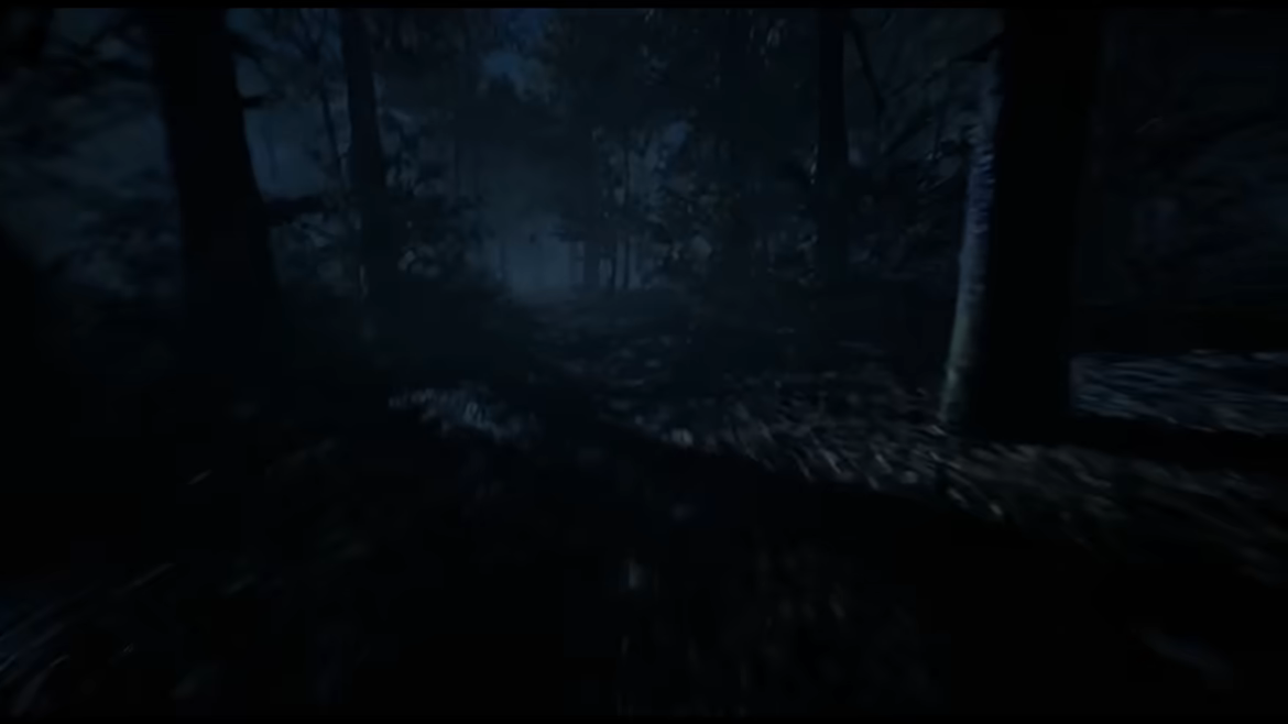 Call of the Lake video 3