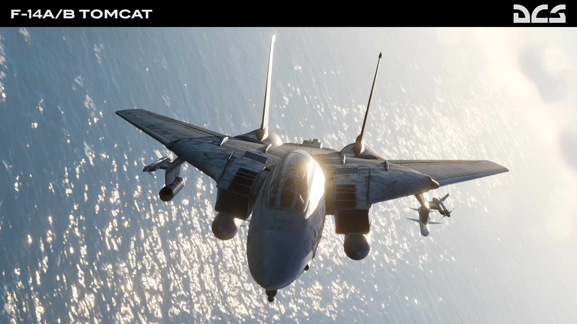 #5. DCS: F-14A/B Tomcat by Heatblur Simulations (Steam) Podle: Eagle Dynamics SA
