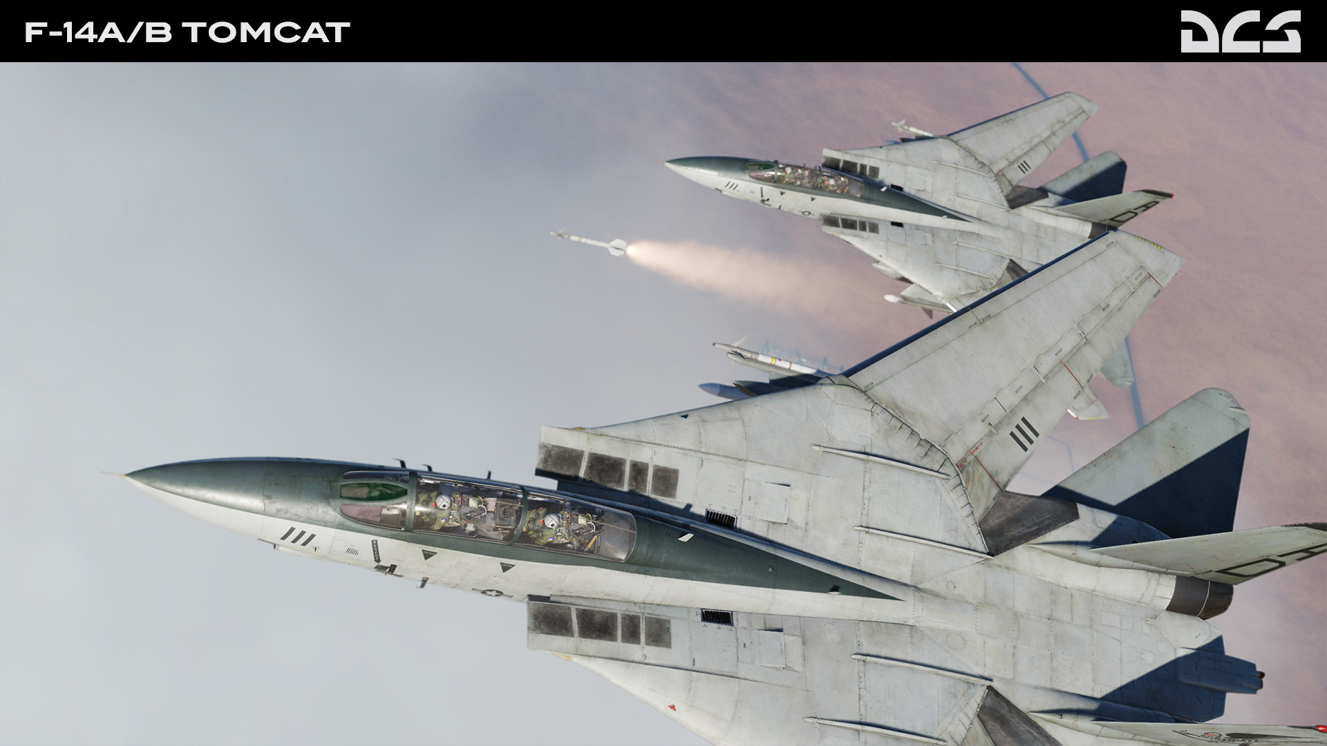 #7. DCS: F-14A/B Tomcat by Heatblur Simulations (Steam) Podle: Eagle Dynamics SA