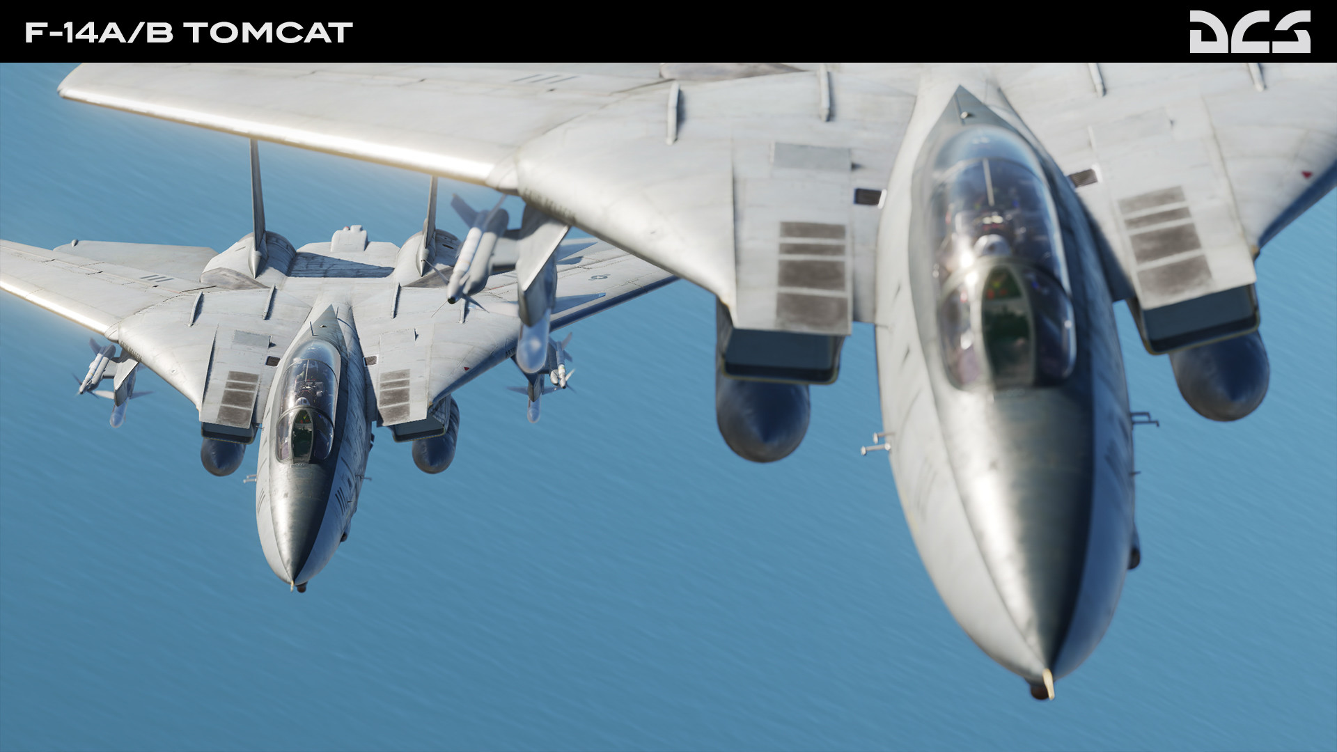 #9. DCS: F-14A/B Tomcat by Heatblur Simulations (Steam) Podle: Eagle Dynamics SA